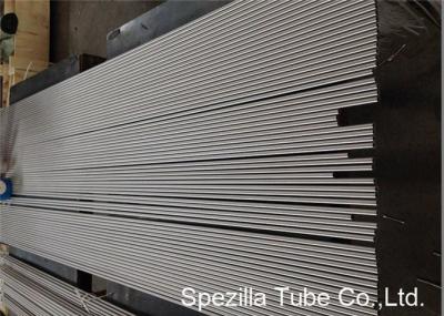 Encaixes sem emenda lustrados A+P OD 1/4 da tubulação do instrumento dos SS - 1-1/2”