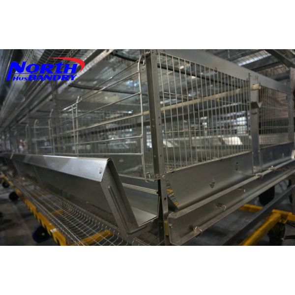 Poultry equipment for chicken farming