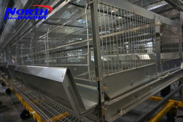 fully automatic build chicken coops/battery cages laying hens/automatic poultry farm equip