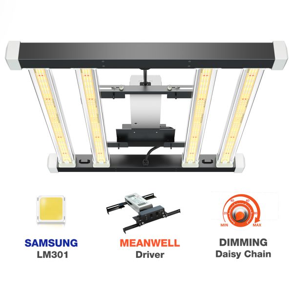 СИД гидропоники фермера паука полного спектра растет свет 6кс6 футов