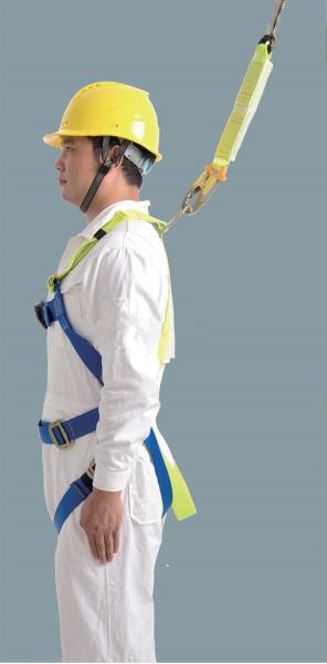 Equipamento de segurança azul brilhante universal da proteção da queda