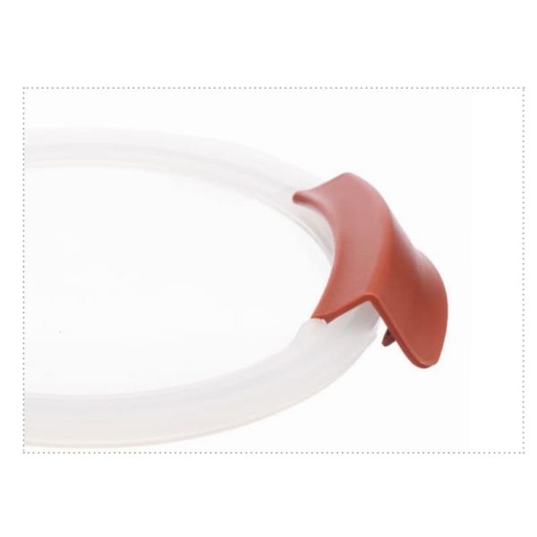 IKOO Dual-Lock Glass Food Container with Transparent Glass Lid