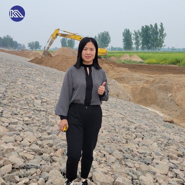 PVC Coated Woven Hexagonal 2x1x1m Standard Size Metal Gabions Baskets for River Bank Protection & Slope Stabilization