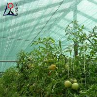 Anti-UV Tissu d'ombrage agricole de serre 40 Taux Vert foncé