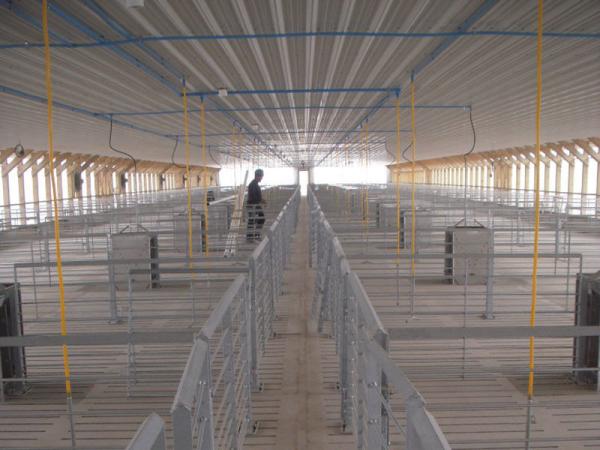 baby pig used nursery weaning crate weaning fence for piglets