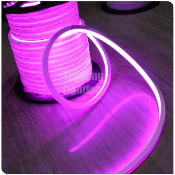 2016 new pink square 12v 16*16m LED neon flex light for room
