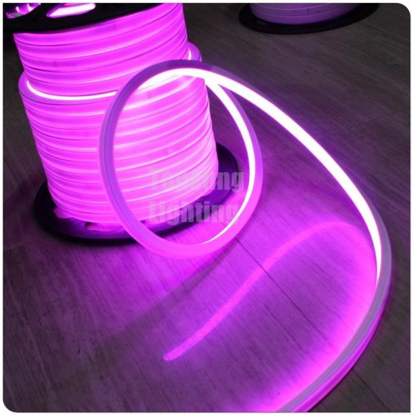 décoration extérieure lampe au néon à LED rouge carré 110v 16x16.5mm pour extérieur