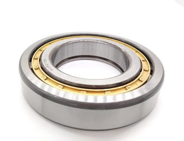 Single Row Full Complement Cylindrical Roller Bearing NJ 203-NJ 216