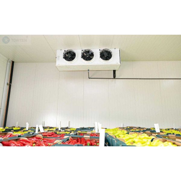 Холодильник Фрукты Морская пища Взрыв холодильная комната морозильник Хранилище 20ft 40ft