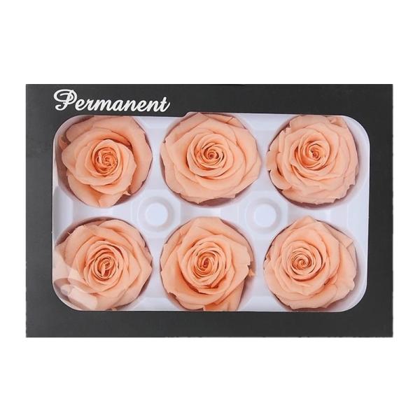 2020 New Preserved Rose 5-6cm Real Rose That Last A Year For Valentines Day  girlfriend gift