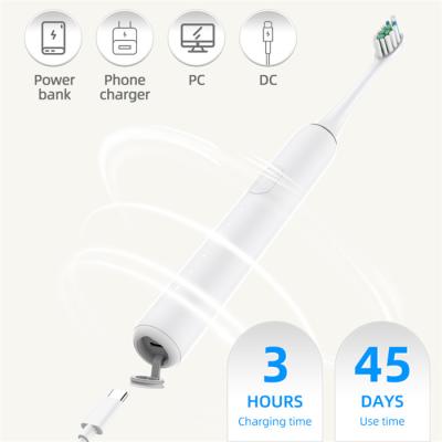 31200VPM IPX7 Adult Electric Toothbrush Oral Care Type-C Rechargeable