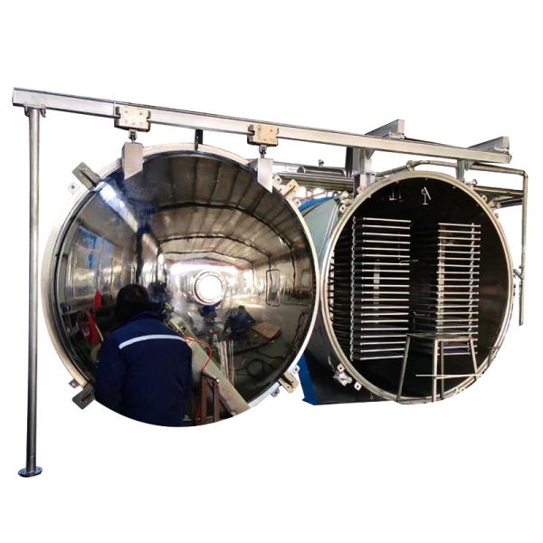 Fully Automatic Vacuum Freeze Dryer Fruits Vegetables Freeze Dryer