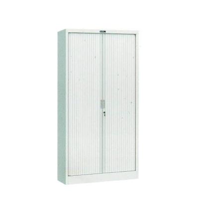 Insulated Steel File Cabinet Cupboard Powder Coating With 2 Door