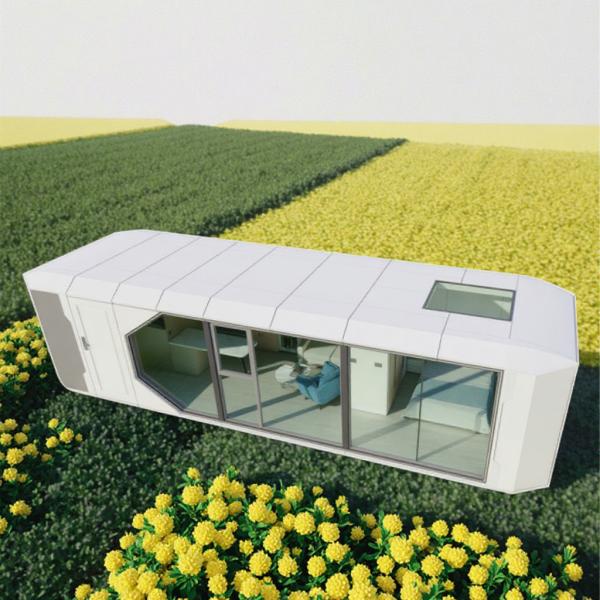 Maison de la capsule spatiale avec des services personnalisés personnalisés Maison de la capsule métallique