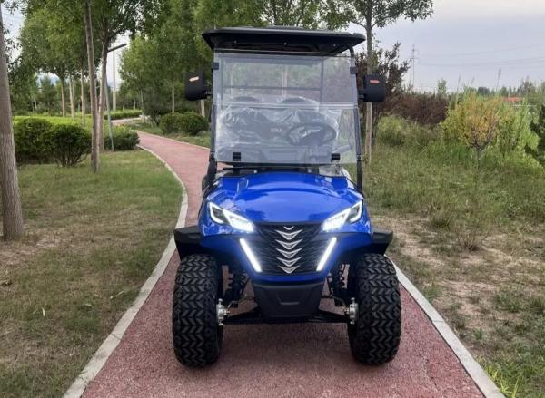Six Seater Electric Off Road Luxury Golf Cart Electromagnetic Brake Supports Customized Color And LOGO