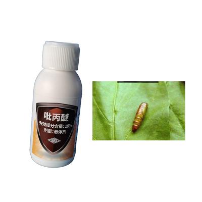 10% Pyriproxyfen Biological Pesticide Mosquito Insecticides Efficient to Kill Mosquito Larvae