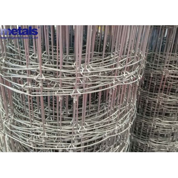 Corrosion Resistant Wire Mesh Security Fence Designed to Provide Perimeter Security for Industrial and Commercial Properties