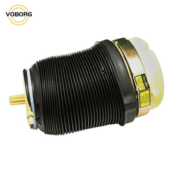 Rear Left Air Suspension Shock Absorber for A6 Allroad Quattro(C6/4F Chassis) Rear Left Rear Right Parts