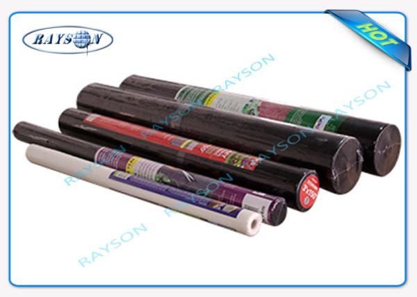 Chaîne polychrome non tissée favorable à l'environnement de couverture d'agriculture