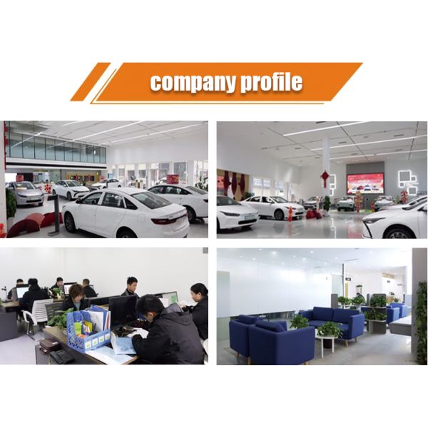 Byd Auto Equation Leopard 8 M&L Size SUV 2025 Model Luxury 6 Seats Version Phev Used Car