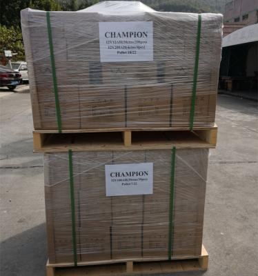 2V Sealed Lead Acid Battery , 200Ah Agm / Gel Type Deep Cycle Battery