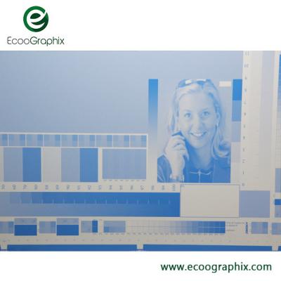 Double Coated UV Sensitive Plate Positive Working UV CTP Plate