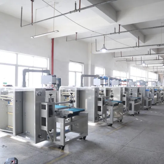 Stainless Steel Multi Packing Machine For High Speed Packaging 90 - 100bags/Min