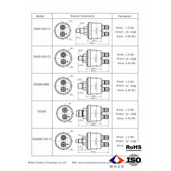 0-5bar 10-180Ω 1.45bar G1/8Thick-Film Oil Pressure Transmitter Zinc Plated With Alarm