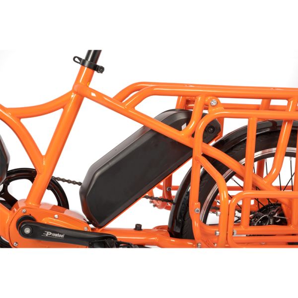 Family E-cargo Electric Bike with 20