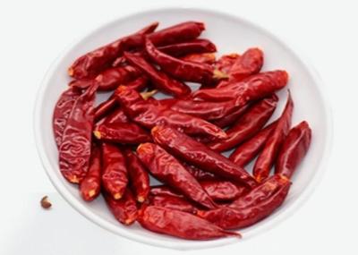 Tientsin que desidrata pimentões Sun secou a paprika vermelha picante Stemless