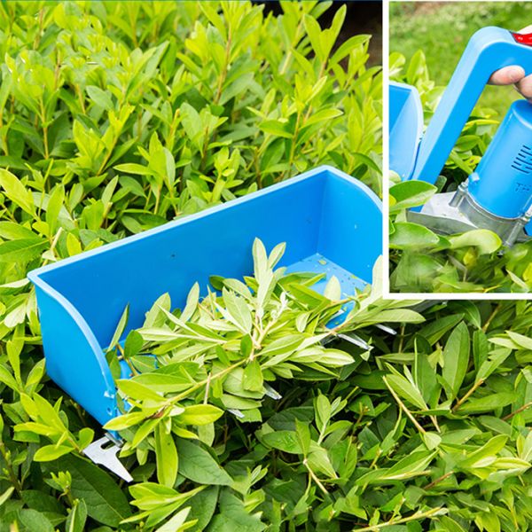 портативный мини чай 300W общипывая машину для того чтобы срезать одиночное лезвие 300mm 8Ah