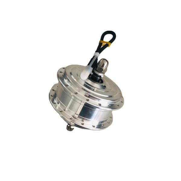 12 Volt 13 Axis 19.5 Dc E Bike Motor Fat Tire Electric Bike Accessories  Ebikes