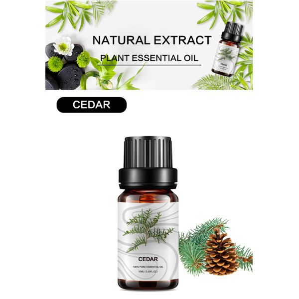 100ml Pure Plant Essential Oil OEM Herbal Cedarwood Essential Oil Skin