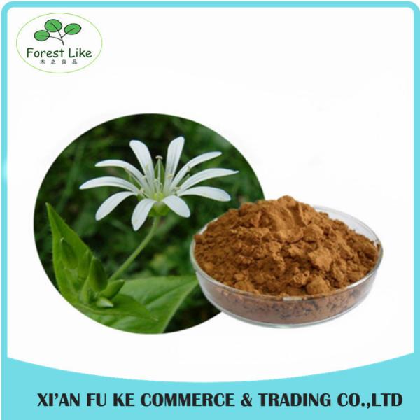 Best Anti- cancer Effect Blushwood Berry Fruit Extract with EBC-46