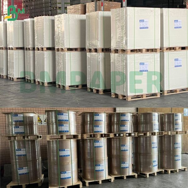 240g Coffee Cup Paper Bowl White Extensible Food Grade Cup Paper For Ice Cream Cup 240g de taza de café papel taza blanca extensible de calidad alimentaria papel de taza para taza de helado