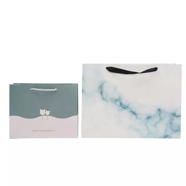 Printed Luxury Paper Cookie Bags 350gsm 450gsm Shoe Paper Bag