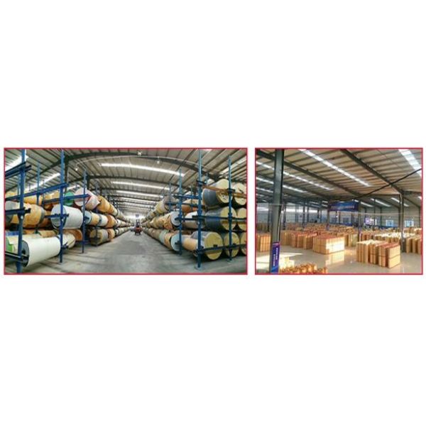 5mm Vinyl Gym Flooring