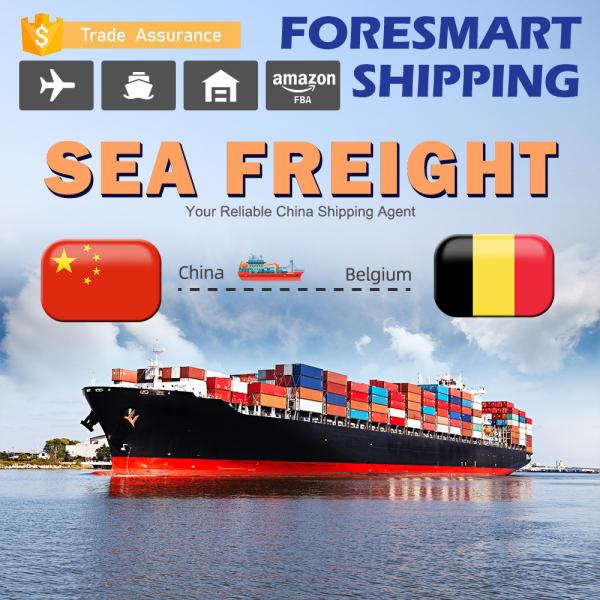 40ft China To Belgium International Sea Freight Services