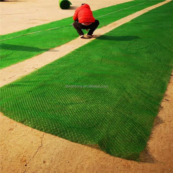 Contemporary Design 2m Width Erosion Control Geonet/Geomat with 3D Vegetative Cover