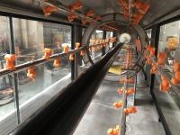 PE Pipe Extrusion Production Line Co Extrusion Plastic Extruder Machine