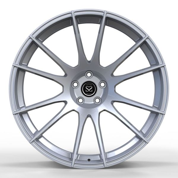 Hyper Silver 1 Piece Forged Wheels Spokes Monoblock Alloy Aluminum Rims