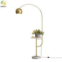 El oro del LED/las lámparas de pie contemporáneas negras plancha la decoración interior material