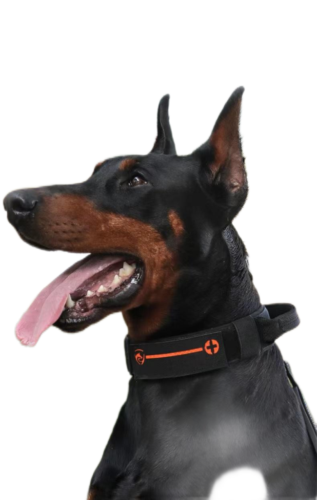 Colarão tático durável e confortável para cães grandes - ajustável, respirável e refletor para máxima segurança