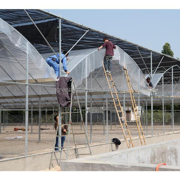 200 Micron Plastic Film Greenhouse Shade Cloth Roof Height 7 Meters for Strawberry