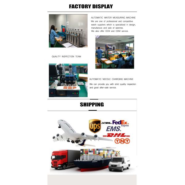 5 ATM Mechanical Watch with Stainless steel Band, Mens Mechanical Wrist Watches OEM