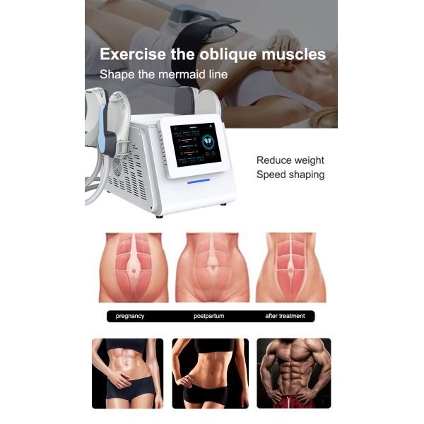 Body Shape S Shape Cavitation Muscle Building Electrical Machines 10.4in Screen ISO9001