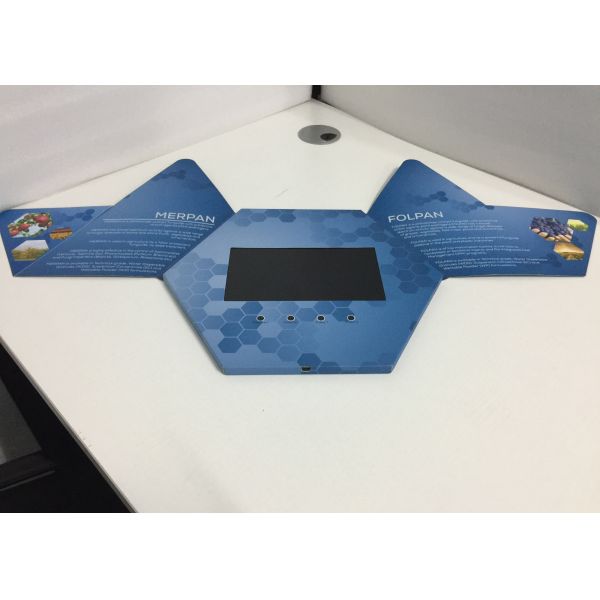 Vídeo de la brochura de la tarjeta económica de negocios para las herramientas educativas de la boda