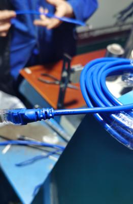 RJ45 1.5m 3m 5m 10m Ethernet Patch Cable Wiring Ethernet Cat 6 Utp For Network