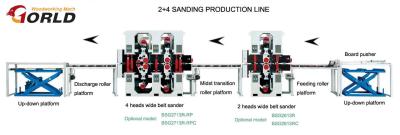 2+4 Double-Side Sanding Line for MDF/ Plywood/ Partical Board