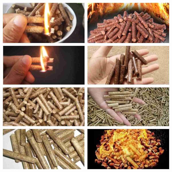 Biomass Wood Pellet Production Line Heating Biomass Pellet Stove Pellet Machine